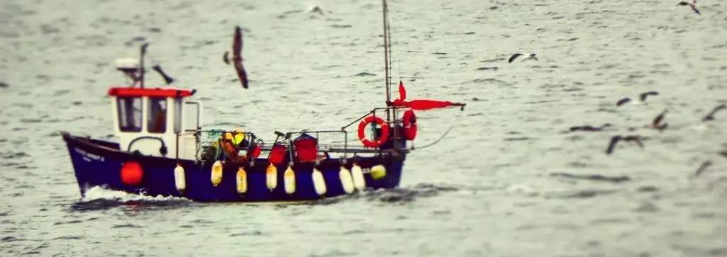 Sarah Viana Autorin Blog Reisen Irland Arbeit und der ganze Rest